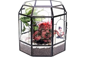 Large Glass Terrarium, REDHUGO Handmade Plant Terrariums Indoor Greenhouse for Succulent Cacti Fern Moss with Spray Bottle, G