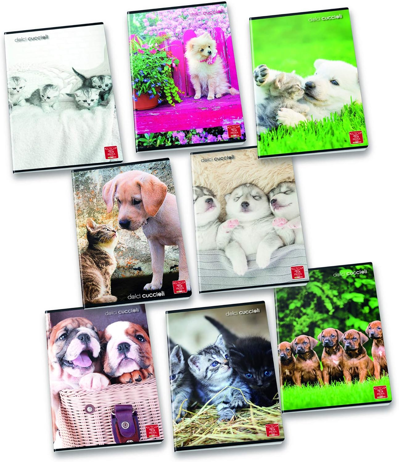 Pigna 02307691R Pack of 10 Booklets A4 Dolccioli 42SH, multicoloured