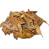 The Bio Dude Leaf Litter - Live Oak Litter - Great for bioactive terrariums, vivariums and Fish