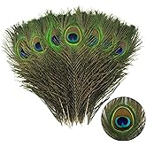 THARAHT 12pcs Peacock Feather Natural in Bulk 10-12 inch 25-30cm for Craft Vase Wedding Home Party Christmas Day Decoration Peacock Feathers