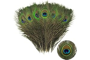 THARAHT 12pcs Peacock Feather Natural in Bulk 10-12 inch 25-30cm for Craft Vase Wedding Home Party Christmas Day Decoration Peacock Feathers