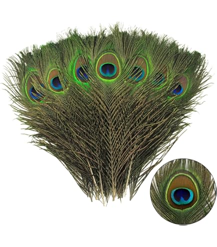 Amazon.com: Ivy Lane Design Katy Marabou Garter with Peacock Feather, Black  : Clothing, Shoes & Jewelry