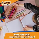 BIC Kids Smooth Colouring Pencils 54 Pack Assorted Colours 100% Wood view 5
