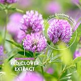 ALPHA01 Organic Red Clover Extract 5250mg 120 Vegan Capsules Menopause view 4