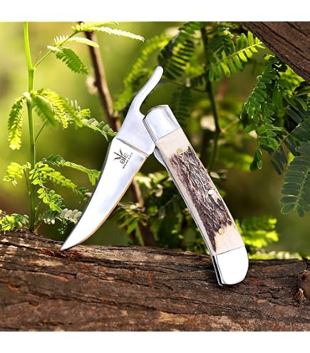 Amazon.com: Case XX WR POCKET KNIFE RUSSLOCK CARIBBEAN BLUE BONE