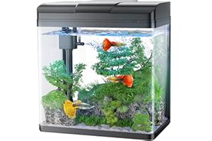 PONDON Fish Tank, 1.7 Gallon Glass Aquarium with Air Pump & LED Light & Filter, Small Fish Tank for Betta Fish Starter Kit (Black)