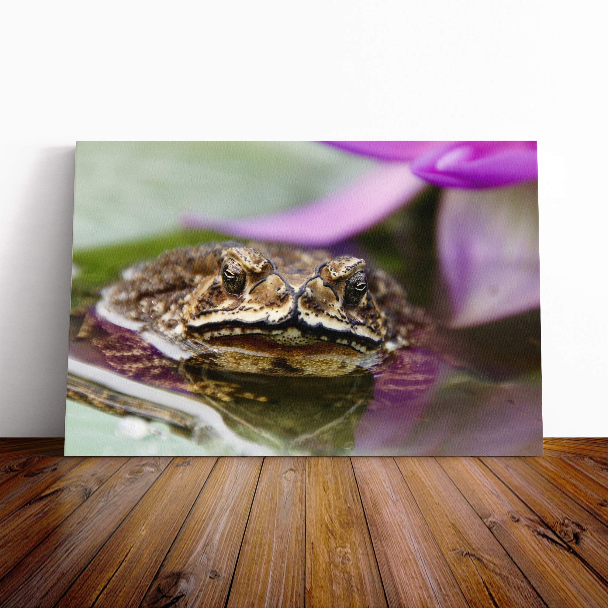 Water Lily Toad Vol.2 Canvas Print | Gallery Wrapped 30mm Frame Wall Art | 20x14 inches | Ready to Hang | Modern Animals Picture | Living Room Bedroom Lounge Office