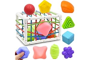 Montessori Toddler Toys for Boy Girls Gifts, Baby Toys for 12 18 Months, Brain Sensory Bin Shape Sorter with 3 Soft Textured 