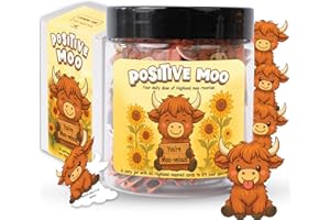KATINAT Positive Highland Cow Jar, 60 Affirmation Cards For Women, Girls, Mental Health & Stress Relief Support Gift, Highland Cow Gifts For Women, Coworker, Teen Girl Gift Trendy Stuff, White Elephant Gifts