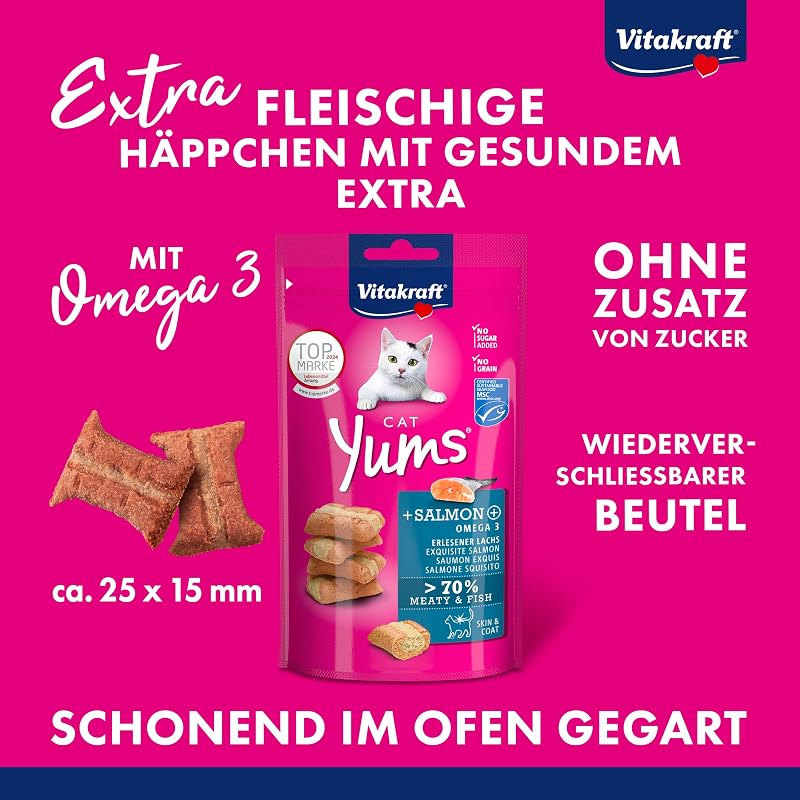 Cat Yums, Katzensnack, mit Lachs, extra fleischig, mit sichtbarer Füllung, unterstützen Haut und Fell, in Vorratsgröße, im wiederverschließbaren Beutel (9x 40g)
