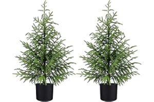 ENVEN Norfolk Pine Christmas Tree Realistic Faux Greenery for Tabletop Mantel Entryway Holiday or Year Round Home Decor (3FT-2Pack)