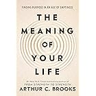 The Meaning of Your Life: Finding Purpose in an Age of Emptiness