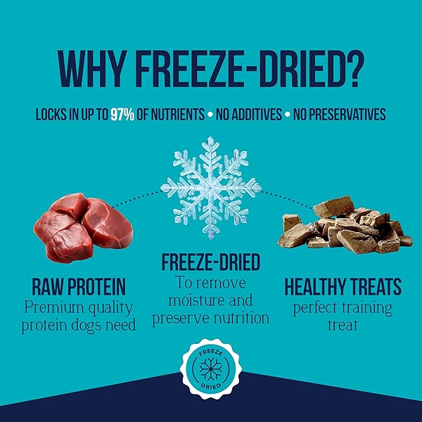 STEWART 100% BEEF LIVER DOG TREATS, 4 OZ TUB, ~90 PIECES, FREEZE DRIED RAW, SINGLE INGREDIENT, 50% PROTEIN TRAINING TREATS OR MEAL TOPPER, GRAIN FREE, GLUTEN FREE