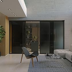 Doors 55 Glass Room Divider Panel and Partition