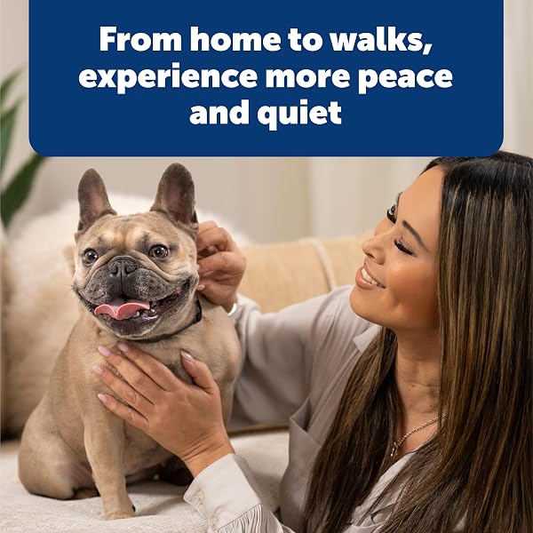 PETSAFE NANOBARK COLLAR – WORLD’S SMALLEST BARK COLLAR FOR SMALL AND MEDIUM DOGS, 10 LEVELS OF STATIC STIMULATION, WATERPROOF AND RECHARGEABLE ANTI-BARK TRAINING, COMFORTABLE AND LOW-PROFILE DESIGN
