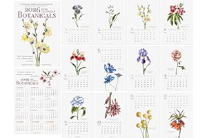 TODO BIEN DESIGN INC. 2026 Desk Calendar - Botanical Watercolor Monthly Calendar, Made in USA, 5x7 pages with motivational quotes, wooden Easel for Home Oﬃce School, Holiday New Year Gift (2026 Botanical - 01, Refill Pages Only)