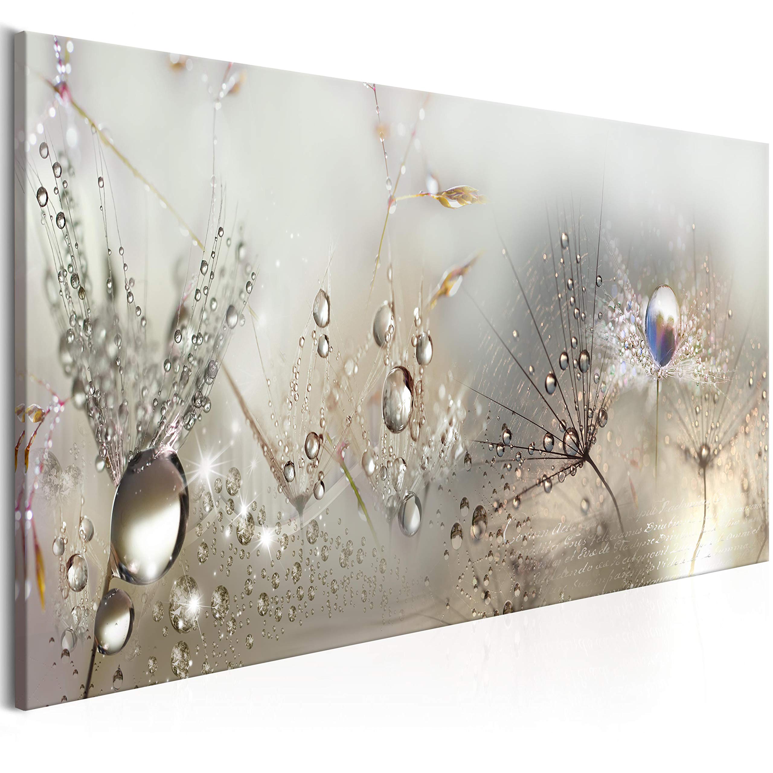 artgeist Glass Wall Art Acrylic Print Dandelion 47x16 in - Image Picture Photo Painting Artwork 1 pcs Home Decor Flowers Nature Grey Dandelion b-C-0169-k-b