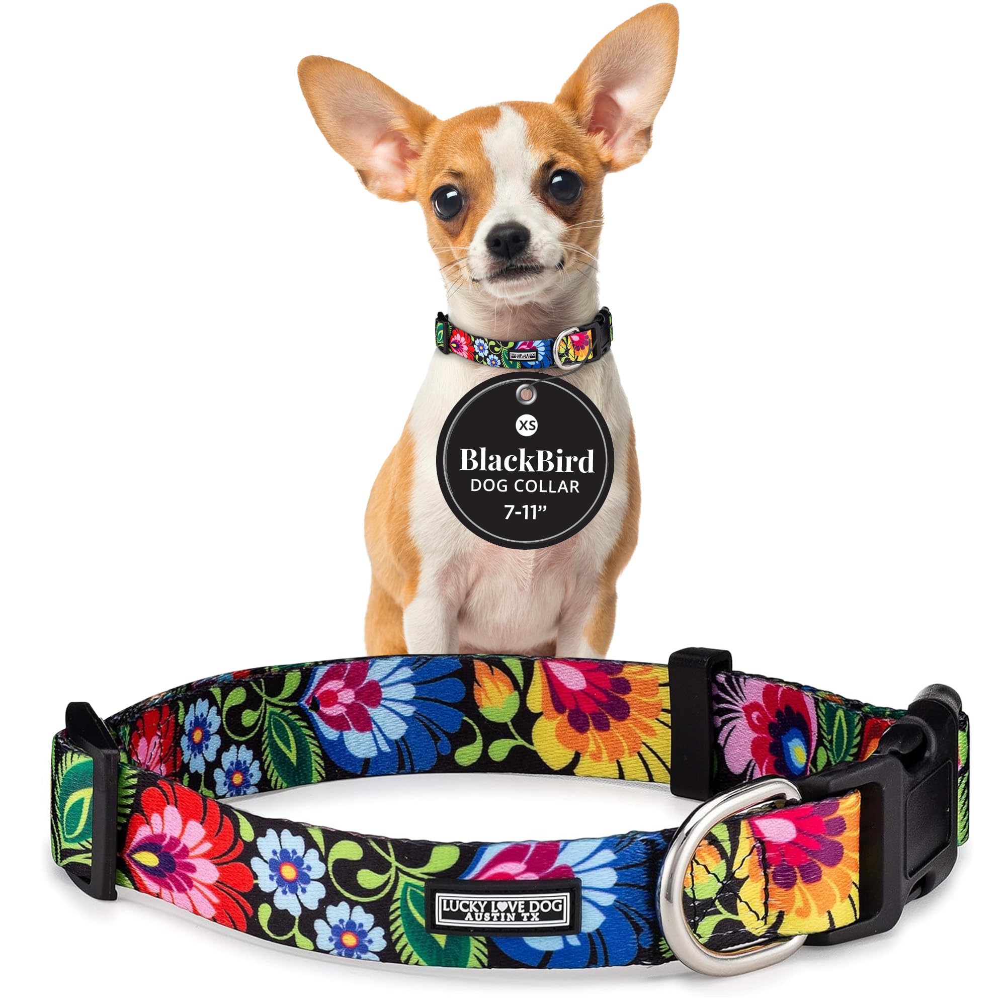 Lucky Love Dog Collars | Vivid Floral Female Dog Collar for Tiny Dogs - Spring & Summer Themed Flower Print - Blackbird, XS — image 1
