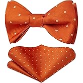 HISDERN Bow Ties for Men Polka Dot Selftie Bowtie and Pocket Square Classic Business Tuxedo Wedding Bowties Handkerchief