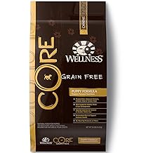 Wellness Core Natural