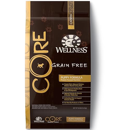 Wellness Core Natural