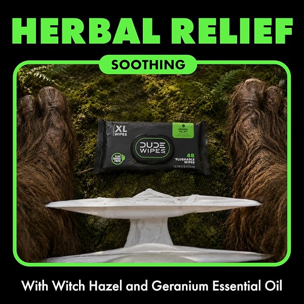 DUDE WIPES HERBAL RELIEF FLUSHABLE WIPES – EXTRA-LARGE ADULT WET WIPES – 6 PACK (288 COUNT) – INFUSED WITH SOOTHING WITCH HAZEL, GERANIUM ESSENTIAL OILS, VITAMIN E, AND ALOE – SEPTIC AND SEWER SAFE