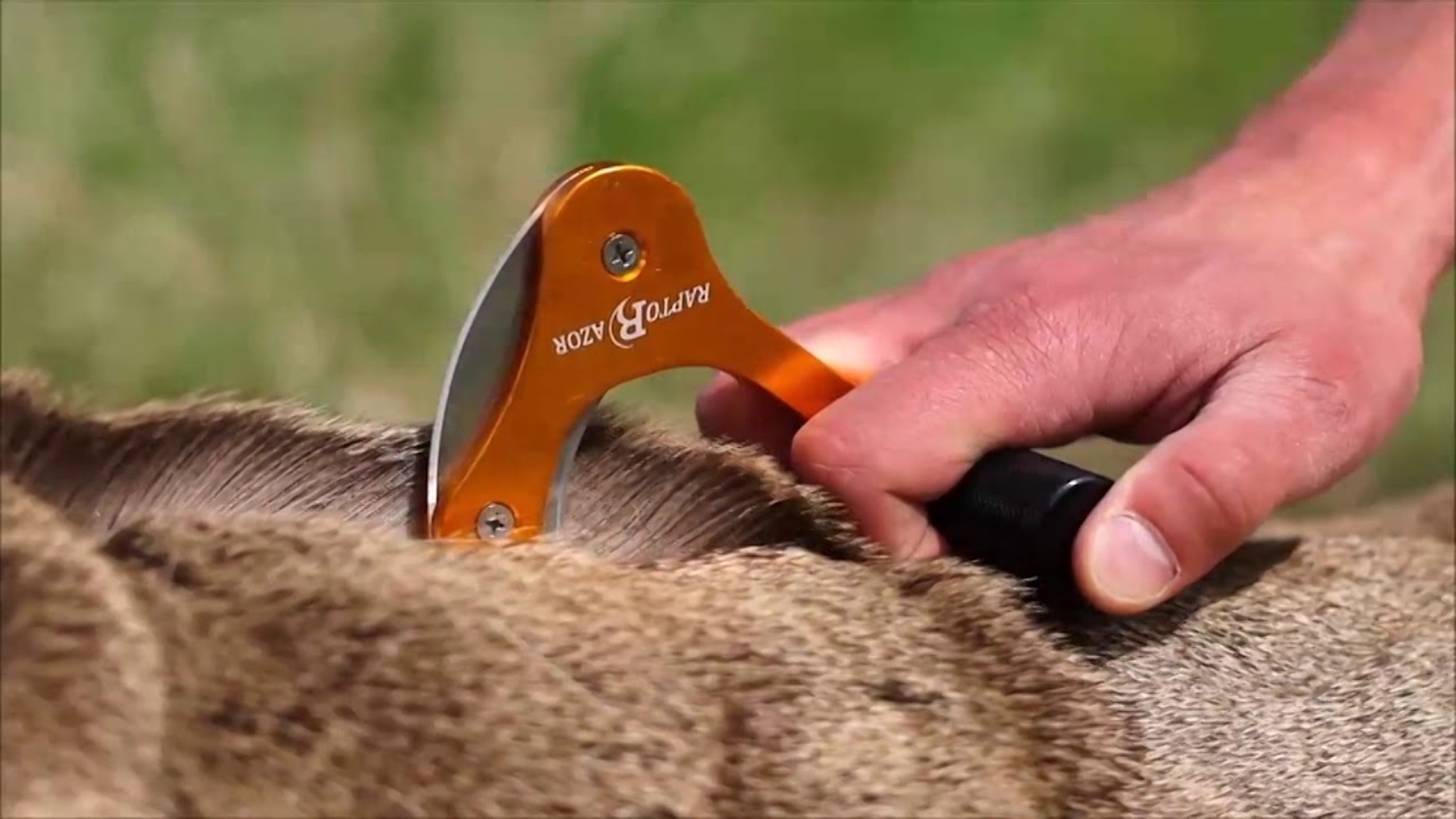 Amazon.com : Raptorazor Anodized Big Game Skinner and Mano Hunting 