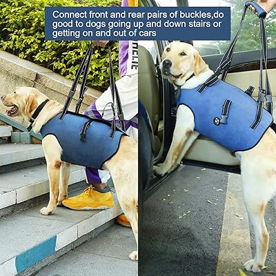 Buy Coodeo Dog Lift Harness Pet Support Rehabilitation Sling Lift Adjustable Vest Breathable Straps For Old Disabled Joint Injuries Arthritis Loss Of Stability Dogs Walk Online In Ethiopia B07gwwlbt9