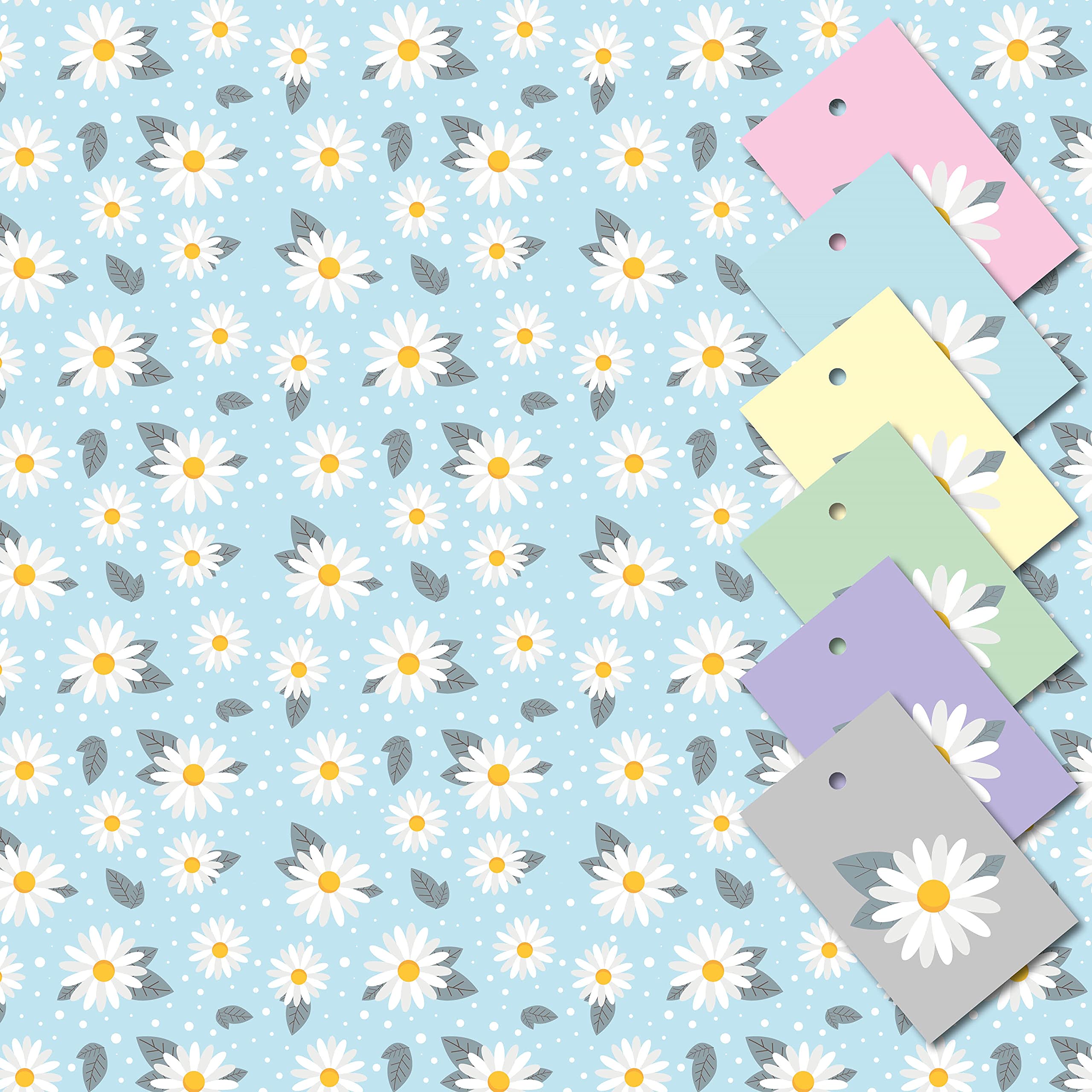 Women's Wrapping Paper, Daisy Design 5 XL Sheets (50 x 70cm). Gift Wrap with Matching Tags. Ladies Gift wrap with Cutting Grid on Reverse.