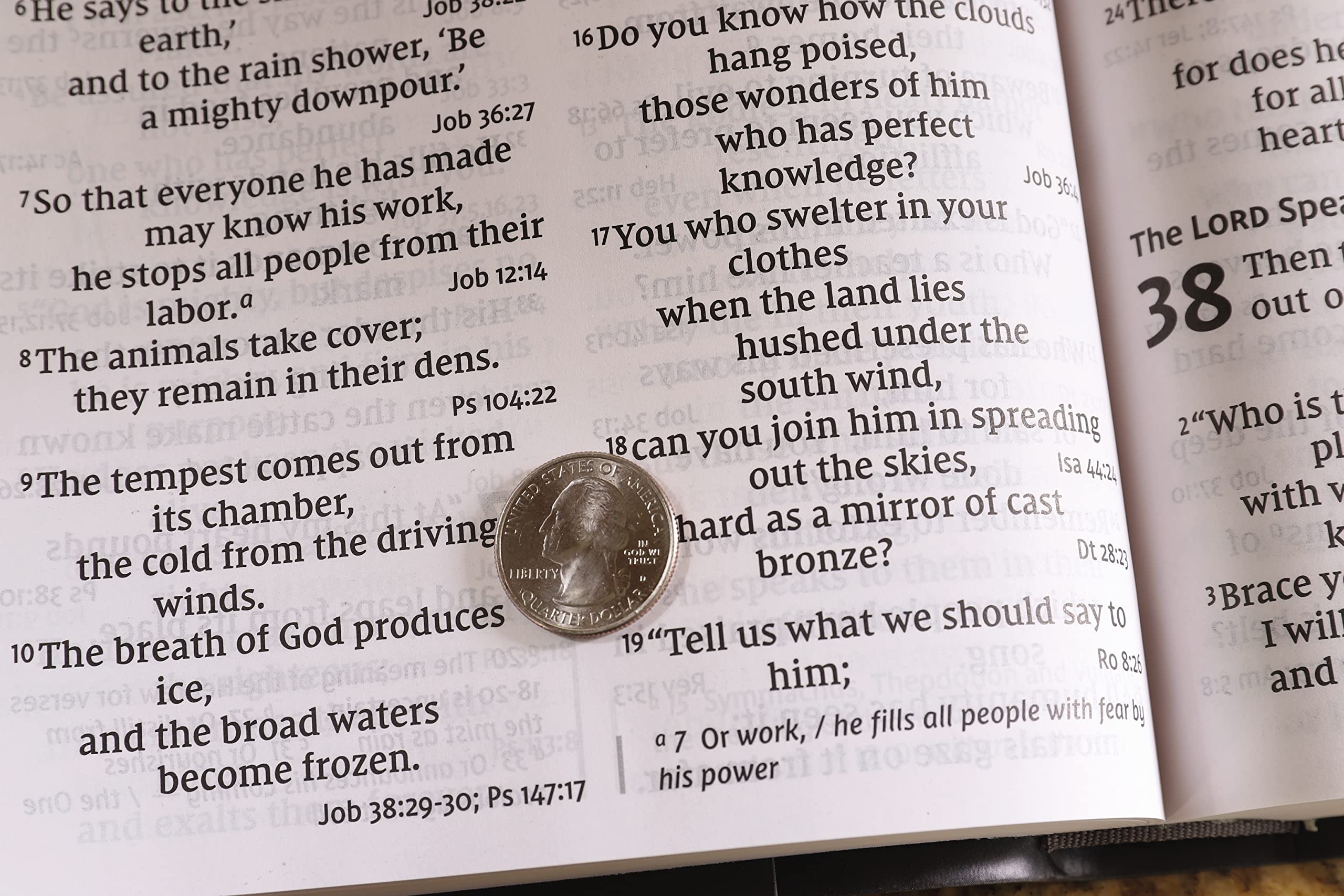 NIV, Super Giant Print Reference Bible (Font Size: 16.5-point), Leathersoft, Pink, Red Letter, Thumb Indexed, Comfort Print NIV, Super Giant Print Reference Bible (Font Size: 16.5-point), Leathersoft, Pink, Red Letter, Thumb Indexed, Comfort Print Imitation Leather