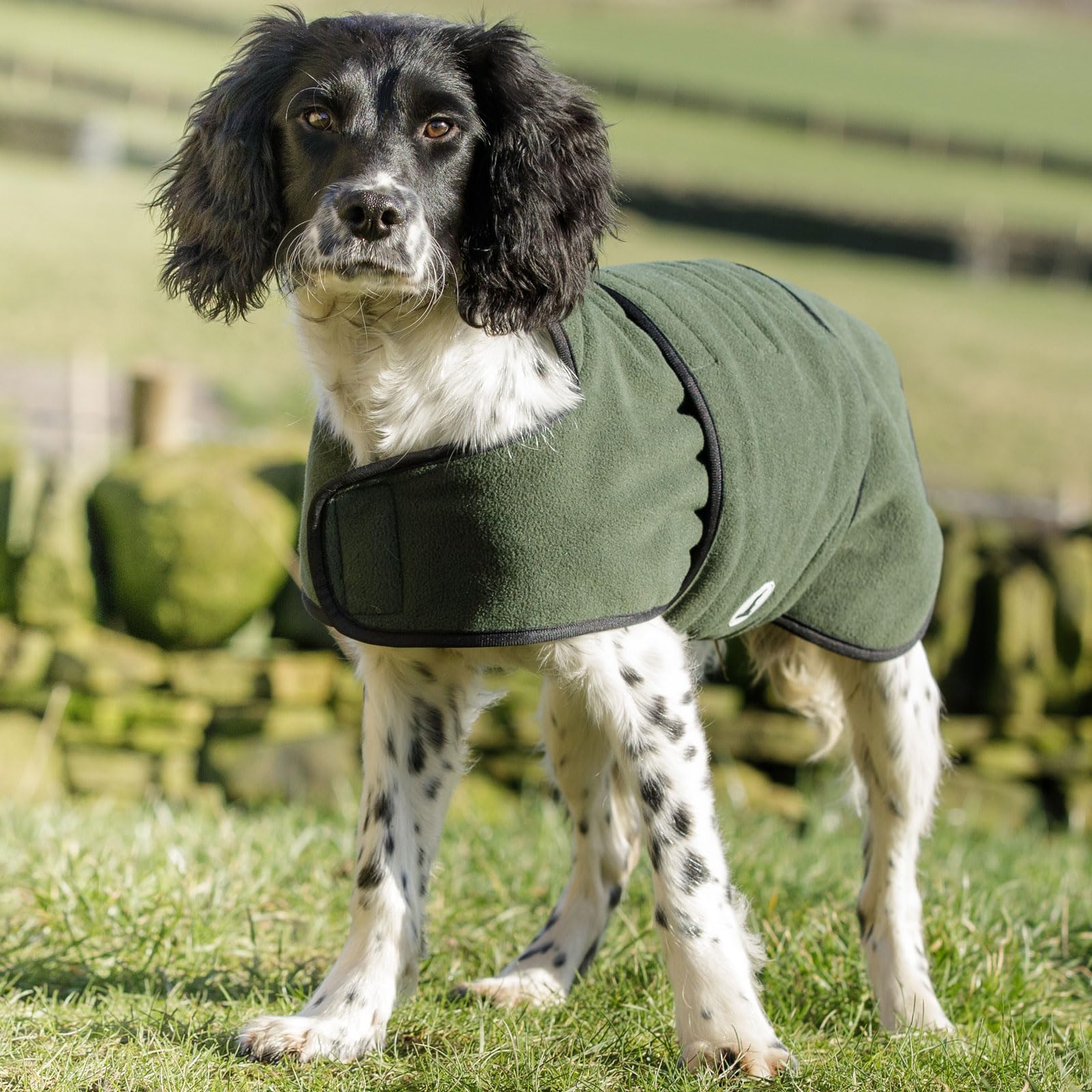 Dog & Field Duel Layer Towelling Coat, Large, Olive Green, L
