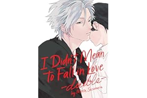 I Didn't Mean to Fall in Love -double-