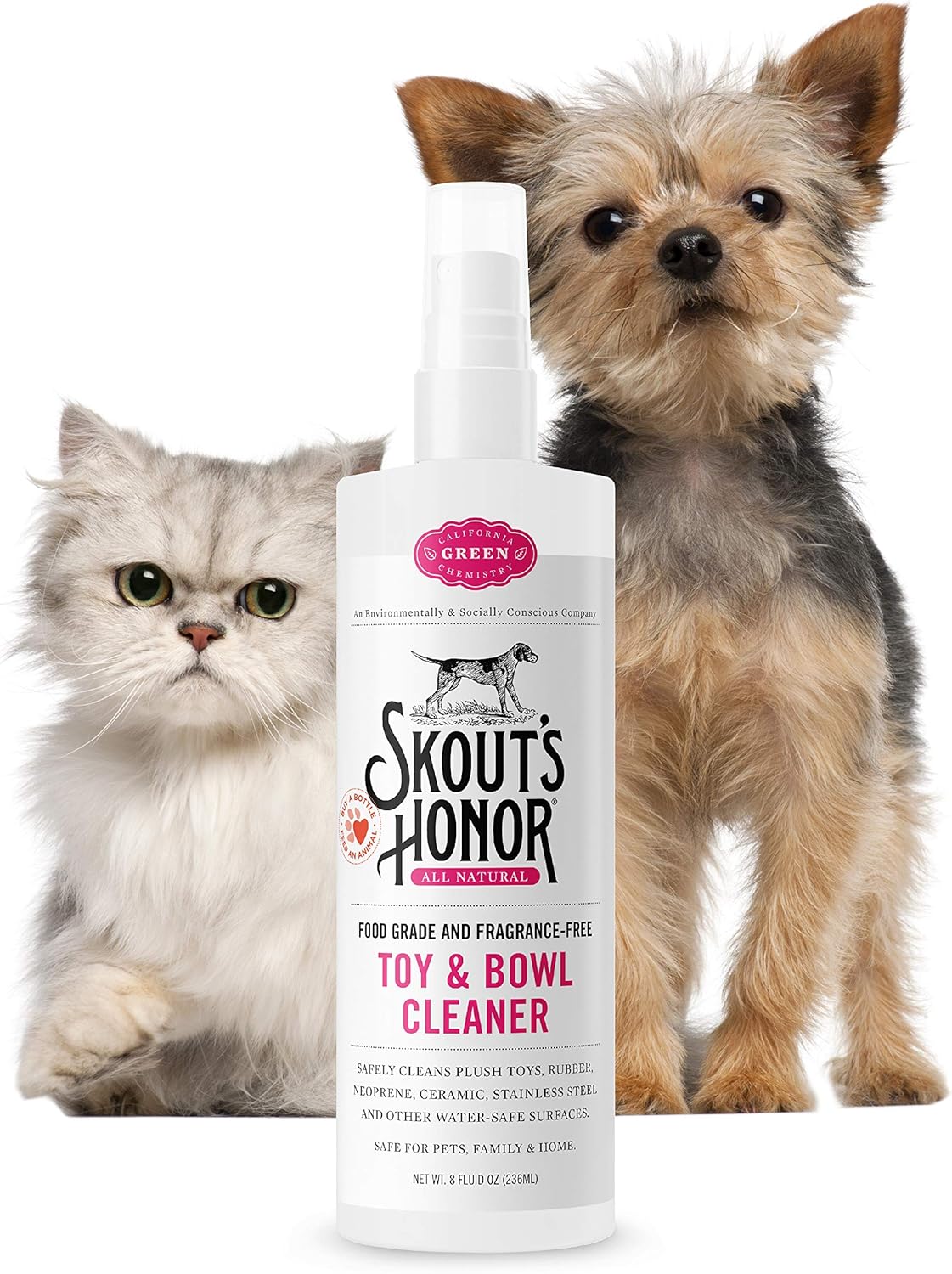 Best  Way To Remove Dog Pee Stains From Carpet