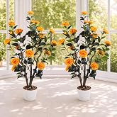 Jocoevol 3FT Artificial Camellia Tree 2 Pcs, 36" Fake Camellia Plant in Pot | Artificial Flower Tree w/Realistic Trunk, Lifelike Leaves, Fake Tree for Front Porch Decor, Faux Tree for Housewarming Gift