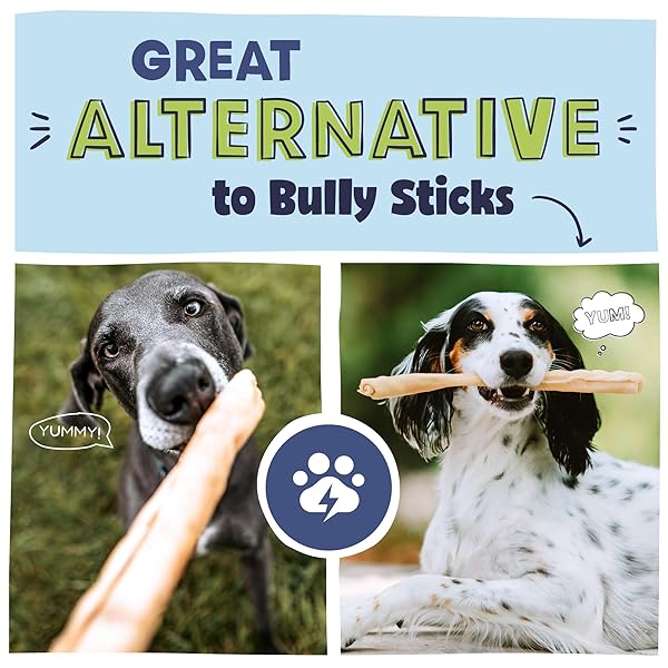 PAWSTRUCK NATURAL LARGE 12″ BEEF COLLAGEN STICKS FOR DOGS – LONG-LASTING RAWHIDE ALTERNATIVE, HIGH PROTEIN TREATS WITH CHONDROITIN & GLUCOSAMINE – 5 PACK