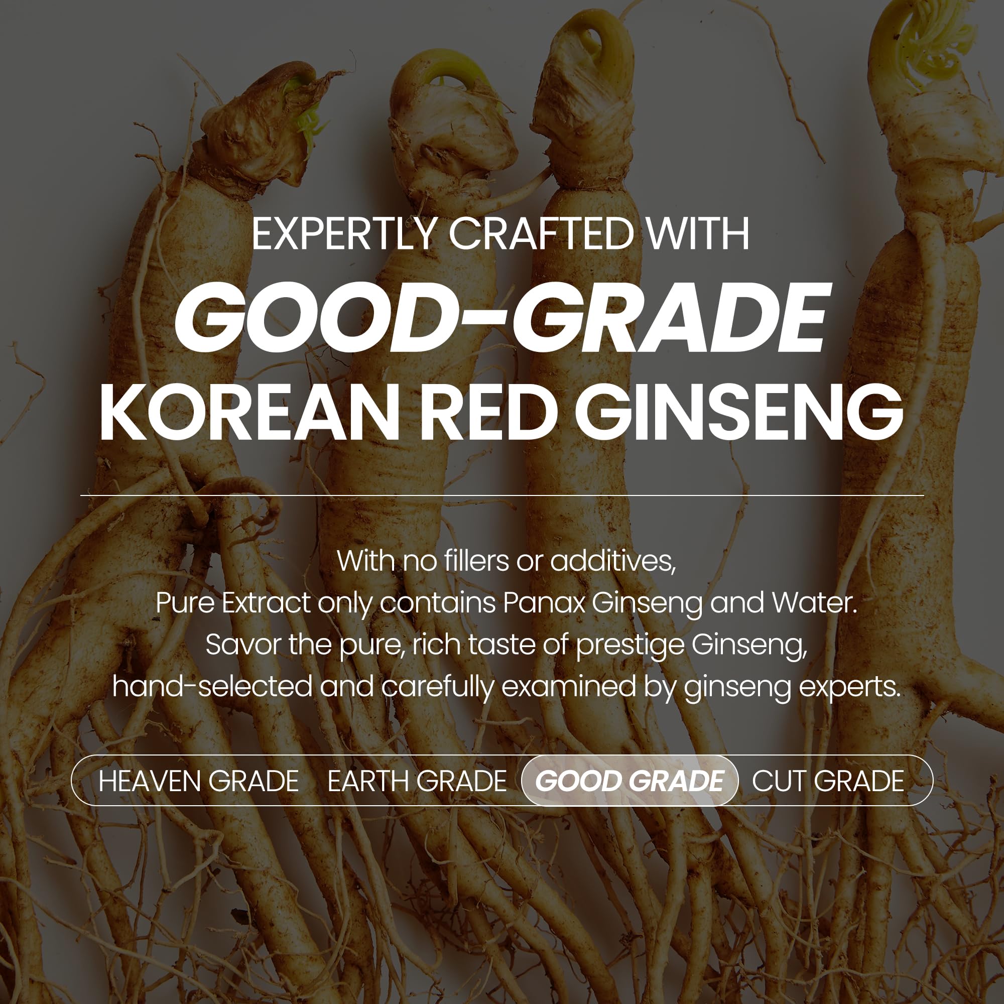 JungKwanJang Korean Red Ginseng Pure Extract Good | Korean Red Ginseng, Ginseng Extract with Premium Grade Ginseng | Boosts Energy, Immunity, Stamina, Blood Circulation | 30 Count