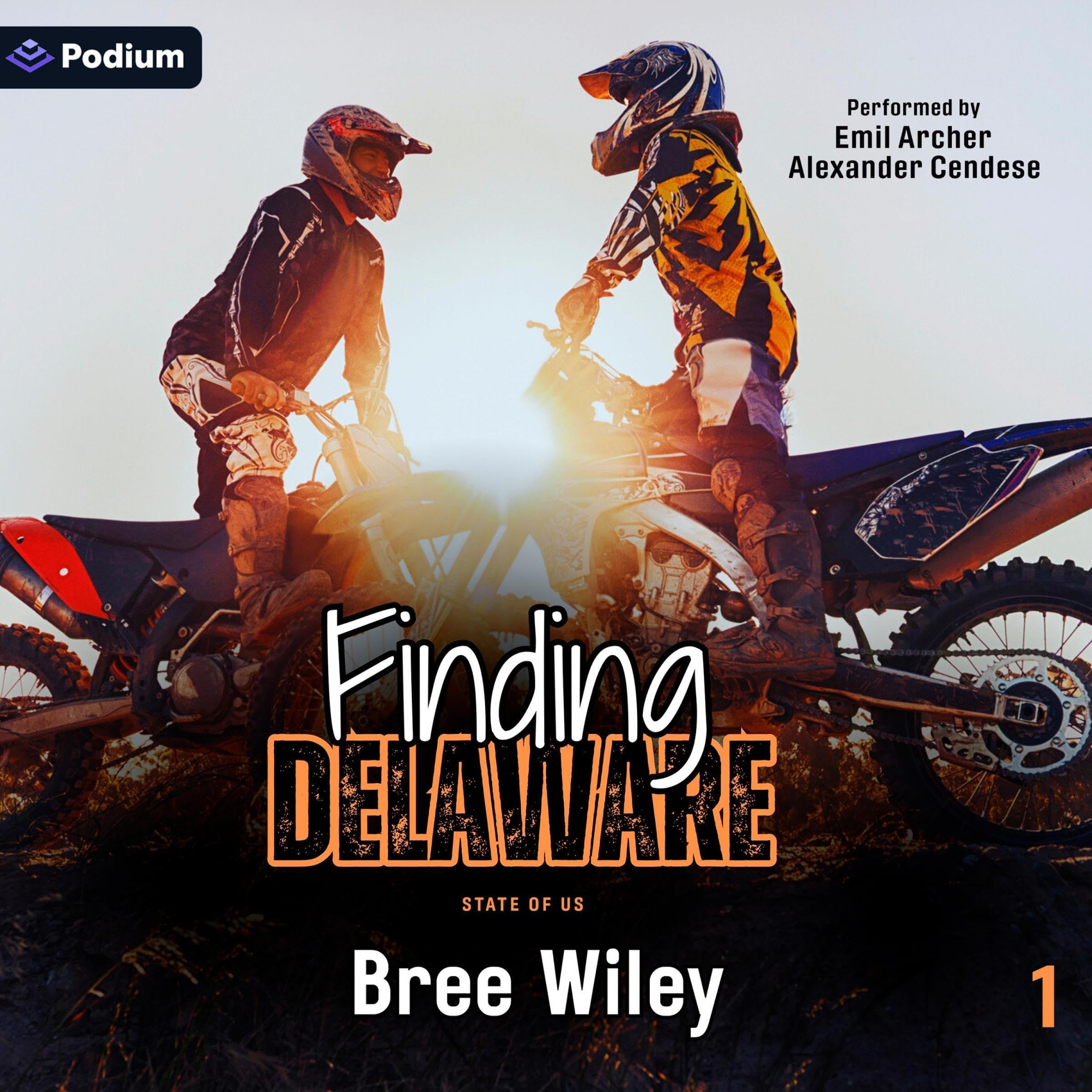 Finding Delaware: State of Us, Book 1 Image