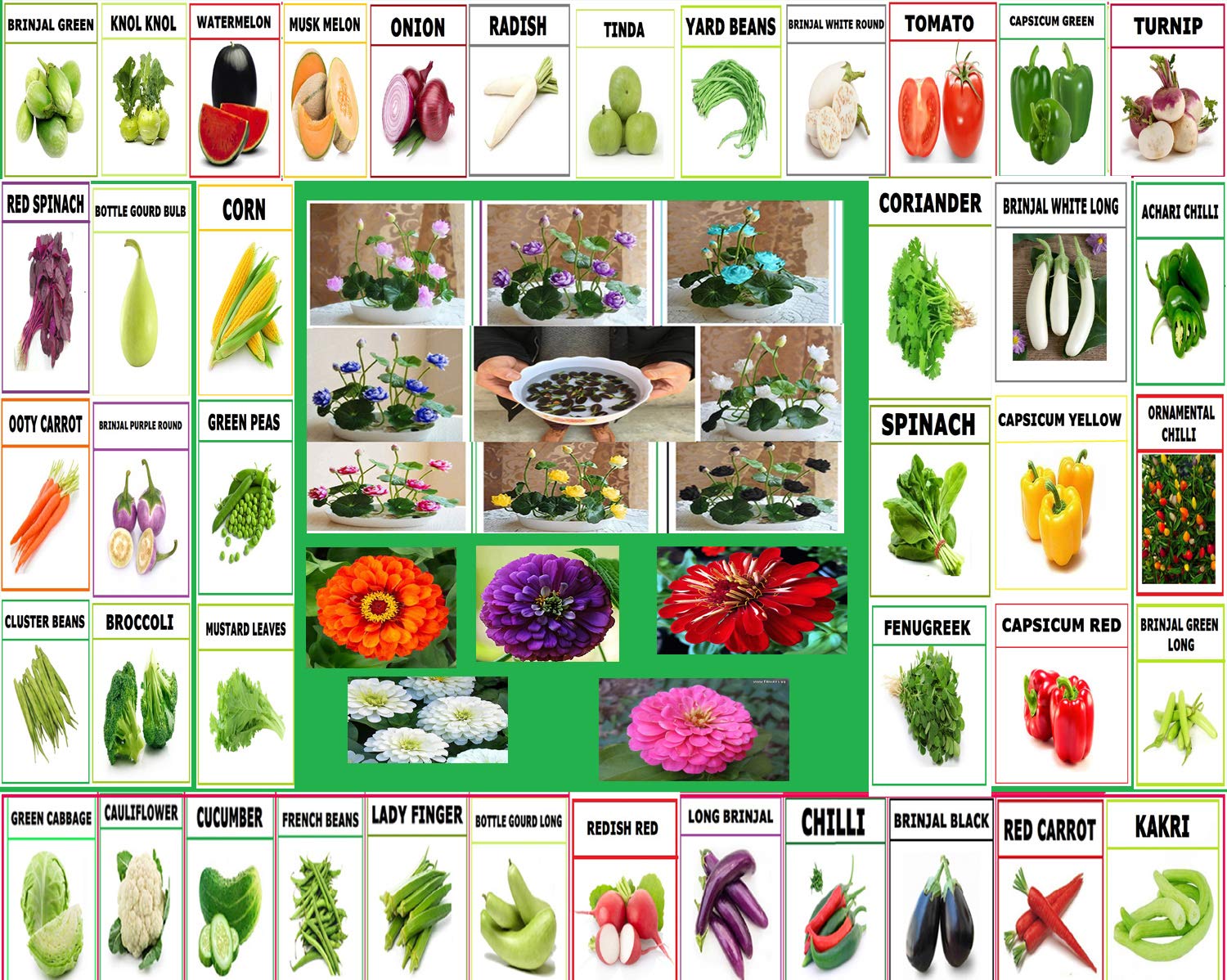 Punjab Organic Seeds 53 Varieties of Seeds with Instruction Manual