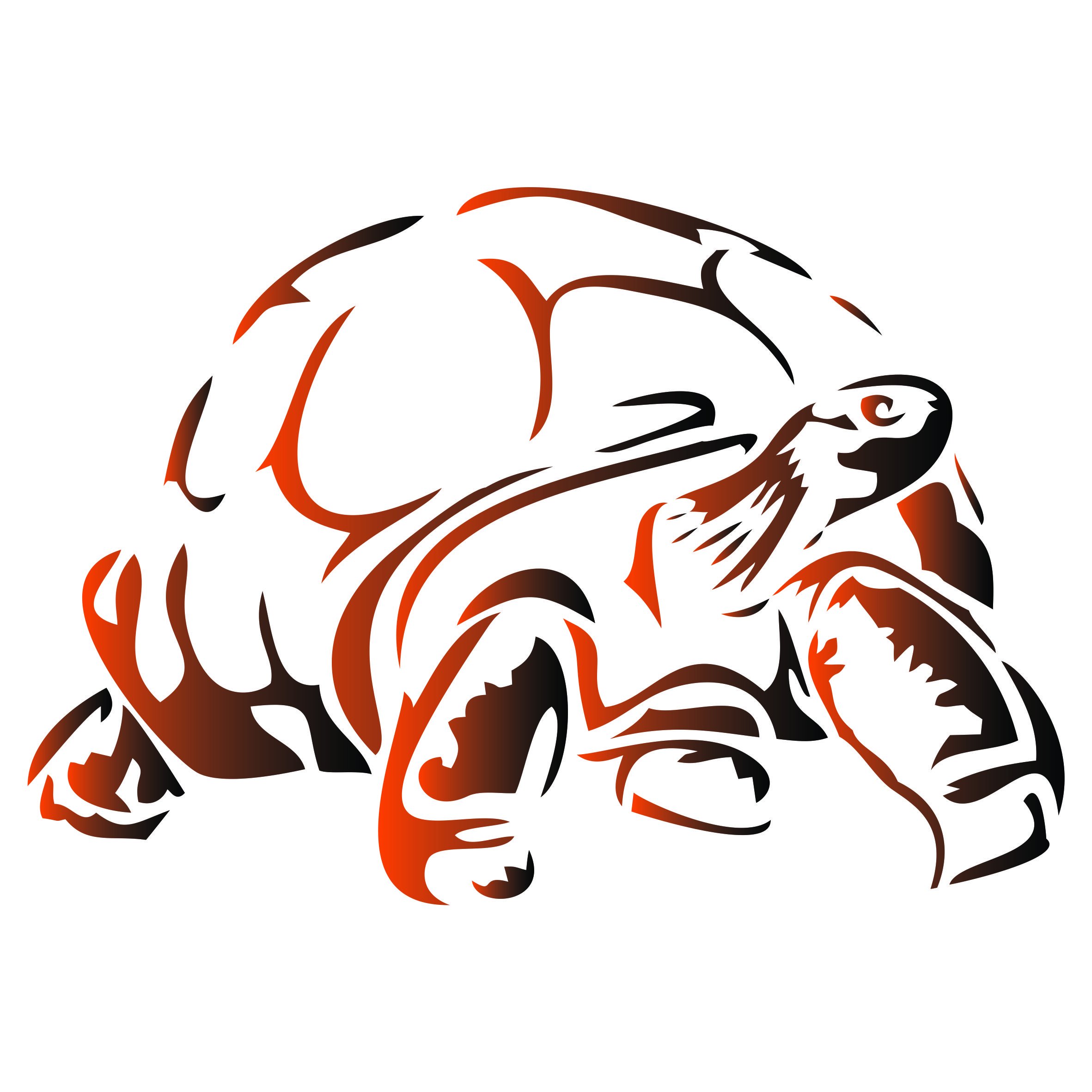 Tortoise Stencil - 28 x 19cm (L) - Reusable Galapagos Giant Turtle Reptile Wall Stencil Template