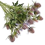 HUIANER 2 Stems Artificial Thistle Spray Eryngium