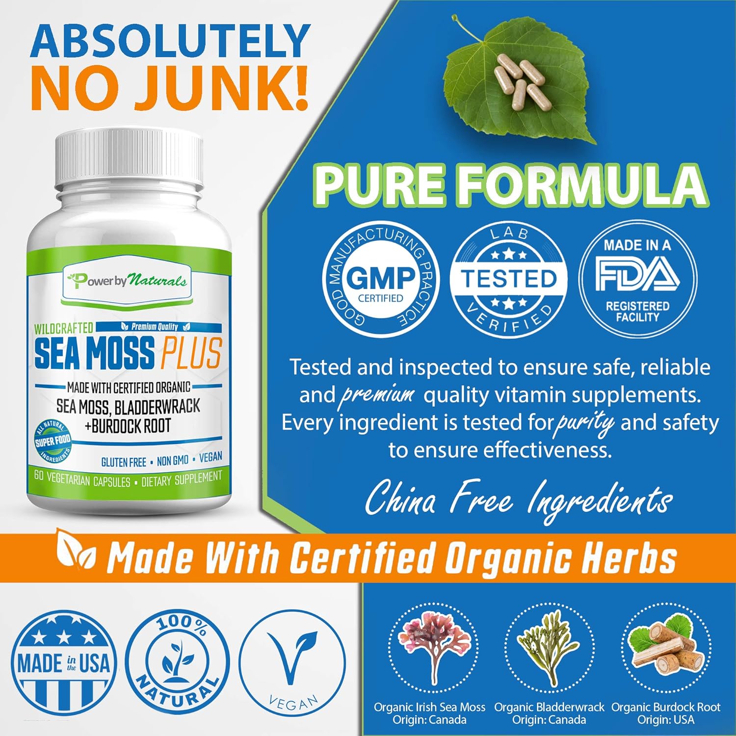 Power by Naturals – Certified Organic Sea Moss Plus – Wildcrafted Irish Sea Moss Bladderwrack Burdock Root – Pure Sea Moss Powder Supplements - No Fillers, Vegan, non-gmo - Seamoss Capsules (60 Pills): Health & Personal Care
