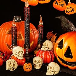 READAEER Resin Skull 4 pcs/Set, Mini Skull Model