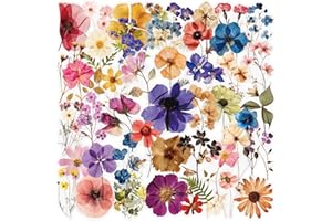 BOOPPYY 50Pcs Transparent Flora Scrapbook Stickers Pack, Vintage Aesthetic Flowers Stickers for Scrapbook Journal, Waterproof for Water Bottles Laptop Phone Scrapbook Supplies DIY Crafts(Colorful)