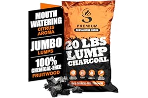SUNLIGHT CHARCOAL Sunlight® Lump Charcoal for Grilling, 100% Natural Citrus Coal Briquettes, Coal for Big Green Egg, Grilling, BBQ Coal Briquettes, Lump Coals for Smoker, Big Green Egg, Kamado Joe Grills (20 lbs)