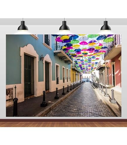 Loccor 5x3ft Fabric Old San Juan Backdrop Puerto Rico Coast National Historic Site - View #4