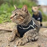 rabbitgoo Cat Harness and Lead Set for Extra Small Cats Reflective Vest Harness view 9