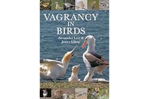 Vagrancy in Birds