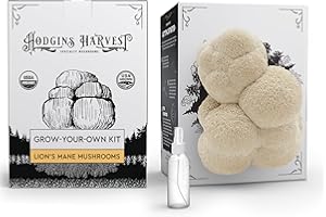 Hodgins Harvest Organic Lion's Mane Mushroom Growing Kit - Indoor Gardening Kit for Fresh Gourmet Mushrooms - Easy to Grow at Home - Holiday Gift for Garden Lovers & Foodies - Grown in USA - 3.5 lb