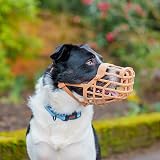 Baskerville Classic Basket Muzzle Size 3 for Dogs Treats Pant Drink Prevent view 2