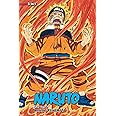Naruto (3-in-1 Edition), Vol. 9: Includes vols. 25, 26 & 27 (9)
